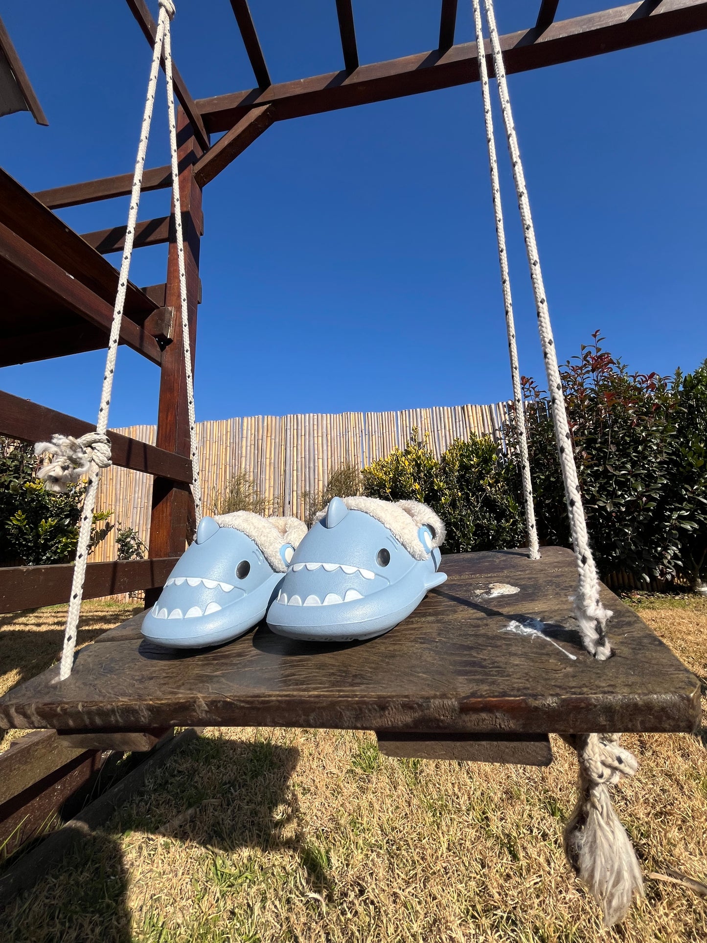 Sharkids Invierno