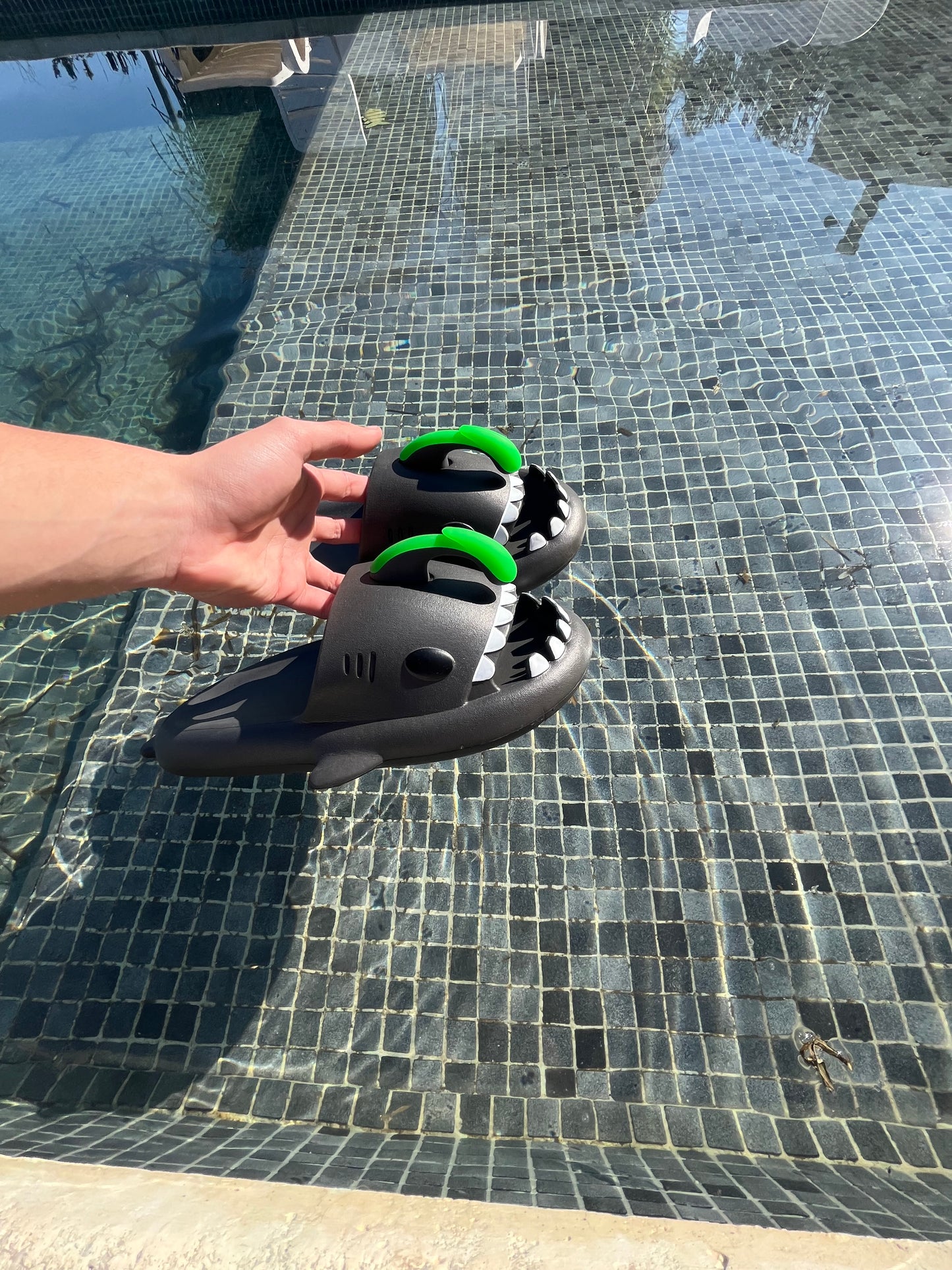 SharkSwell® Nocturnas