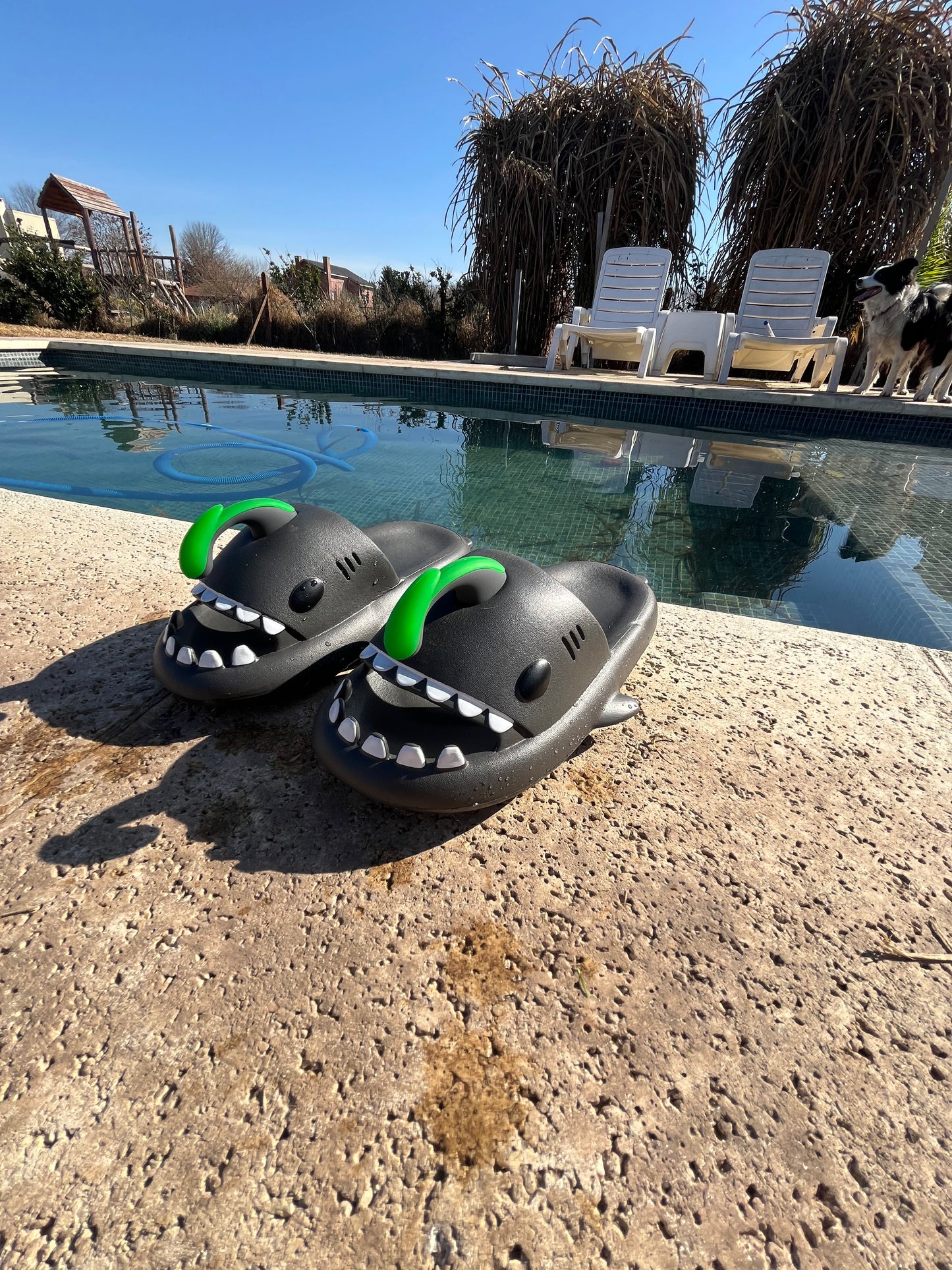 SharkSwell® Nocturnas